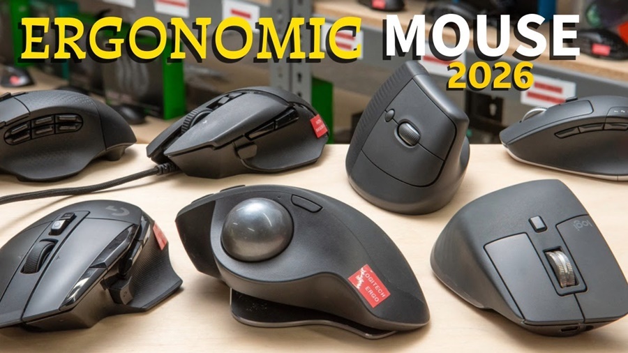 ergonomics of a gaming mouse for long sessions