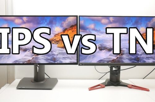 IPS vs TN Gaming Monitor: Which Is Best for Gaming?